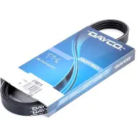 DAYCO 4PK875 Multiriem