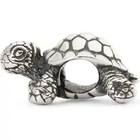 Trollbeads TAGBE-20049 Afrikaanse schildpad