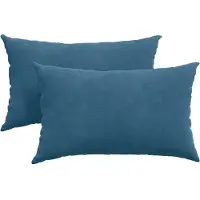vidaXL Zitkussens 2 pcs Blauw 50 x 30 cm Corduroy stof