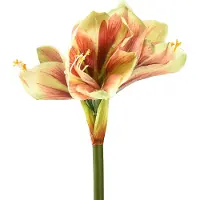 Viana Kunstamaryllisbloem in roze en geel - 66 cm - ideaal cadeau-idee en st