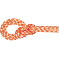 Mammut - 9.5 Crag Classic Rope - Enkeltouw 60 m, meerkleurig