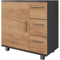 Vicco Ilias Wastafelonderbouw – 60 x 60.8 cm met deur en 3 laden Antraciet/gouden eik