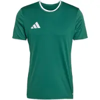Adidas Functioneel shirt 'ENT26' groen / wit