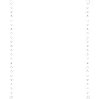 Exacompta "2000 listingbladen 240x11 4/6" 1laag microperforaties 4 zijden afscheurbare Carollbanden Papier Clairalfa 80g "-Wit