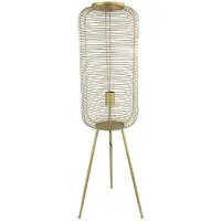 Decostar Vloerlamp Tripod Loise L Tripod 98cm Goud