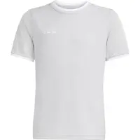 Adidas Functioneel shirt 'Entrada26' stone grey / wit