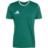 Adidas Functioneel shirt 'ENT26' groen / wit
