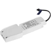 SLV 21W Led Driver 350mA