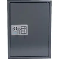 Pavo Magnet Tag Sleutelkast 50 Haakjes Combinatieslot 8013876 Donkergrijs