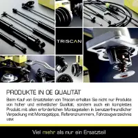 TRISCAN 8710 11229 Gasveer achterklep