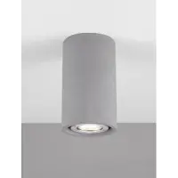 Lyora Plafondspot Emile Betongrijs