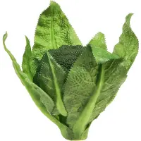 Viana Broccoli groentedecoratie kunstgroen Ø12cm H15cm