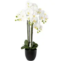 Gasper Kunstplant Vlinderorchidee Wit 4 takken 83 cm