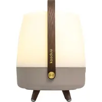 Kooduu Lite-up Play Portable speaker lamp | Powered by SOUND BY JBL | Earth