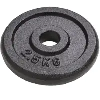 vidaXL Halterschijven 8 st 8x2,5 kg gietijzer