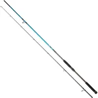 Daiwa Spitfire Seabass Spinning Rod Zilver 2.90 m / 14-56 g