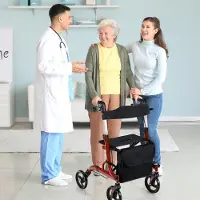 Northio Reisrolstoel 2-in-1 met zitgedeelte en tas, en een houder voor een wandelstok. Opvouwbaar en licht, rood van kleur