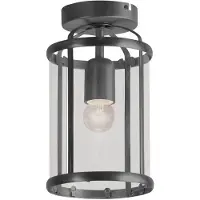 Steinhauer Plafondlamp Pimpernel 5973ZW Zwart Ø16 E27 fitting