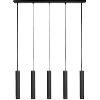 Steinhauer Zwarte vijflichts Hanglamp DownLume 4216ZW met GU10 fitting