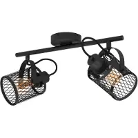 Eglo Plafondlamp Dellow 1 zwart 2-lichtst