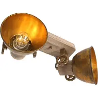 Steinhauer Dubbele opbouwspot Gearwood industrieel