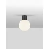 Lyora Plafondlamp Spix antraciet met wit bol glas