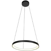 Steinhauer Zwarte Hanglamp Circolare 4206ZW – Modern Design met Krachtige LED-Verlichting