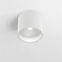 Artdelight Badkamer spot Ormond grijs
