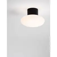 Lyora Plafondlamp Ali antraciet met ovaal wit glas