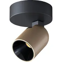 Artdelight Plafondlamp Houston 1 Lichts Zwart Met Champagne