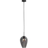 Steinhauer Hanglamp HaloSwap met 1 smoke glas Ø 22,5cm