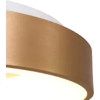 Steinhauer Plafondlamp Ringlede 30 cm Goud