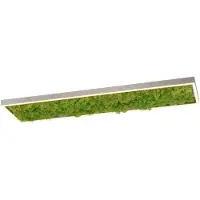 JUST LIGHT Rechthoekige Plafondlamp Green Knut Met Mos