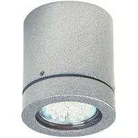 Albert Veranda spot Cylinder Zilvergrijs