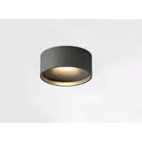 Artdelight Badkamer plafondlamp Oran Ø 12cm - Gun metal