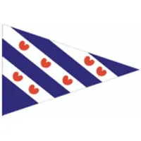 Dokkumer Vlaggen Centrale Puntvlag Friesland 40x60 Cm Multi multi Polyester Vlag