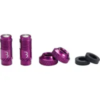 Bbb Cycling CoreCap - Universele Ventiel Upgrade Set - 300% Meer Luchtstroom - Geschikt voor Alle Pompen - Presta naar Schrader Formaat - 2 stuks - Paars - BTI-165
