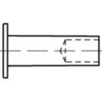 Toolcraft TO-5454255 Massieve holle klinknagel 5 mm 100 stuk(s)