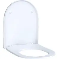 Geberit Acanto wczitting slim wrap over antibacterieel scharnieren verchroomd quick release - met softclose mechanisme - wit 500.605.01.2