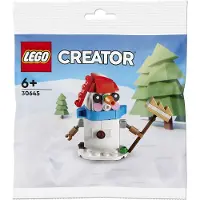 LEGO 30645 Sneeuwman (30645, LEGO Creator 3-in-1)
