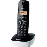 Panasonic KX-TG1611, DECT-telefoon, 50 nummers, Identificatie van de beller, Zwart, Wit