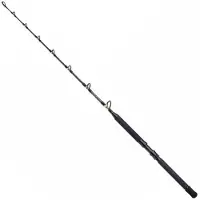 Shimano Fishing Tld B Stand Up Trolling Rod Zilver 1.65 m / 30 Lbs