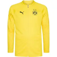 Puma Bvb Borussia Dortmund 23/24 Full Zip Sweatshirt Geel S