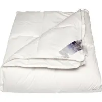 Polydaun Elke - dekbed - 4-seizoenen - lits-jumeaux- 240 x 220 voor luxe isolatie