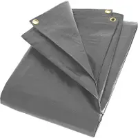 ZILL Afdekzeil 280g/m², grijs, waterdicht zeil, scheurbestendig, UV-bestendig, met ogen, 5x6m (30m²)
