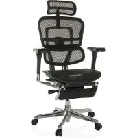 Hjh OFFICE Bureaustoel / Directiestoel ERGOHUMAN PLUS LEGPRO GEN2 Netstof zwart