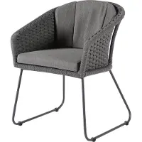 Diamond Garden Rhodos Chair Stainless Steel/Rope including Seat and Back Cushions 2 stuks