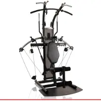 FINNLO Bio Force Extreme Pro Multi-station Home Gym Zilver