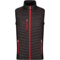 Regatta Professional Heren Gewatteerd Hybride Gilet (Zwart/Klassiek Rood)