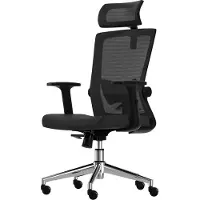LifeGoods Ergonomische Bureaustoel - Office Chair - NEN- en SGS-gecertificeerd - Volwassenen - Hoofdsteun - Zwart/Chroom